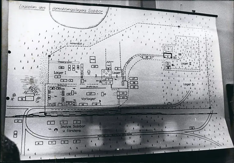 imago61969177hsobibor