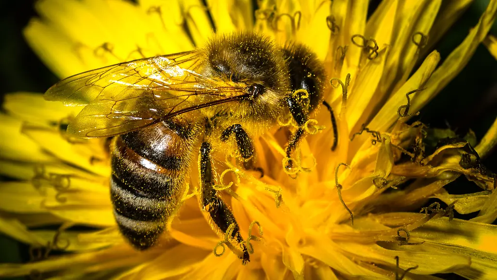 3oyt0958-jpg8990705811792070797