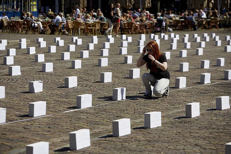 3ovt1557-jpg7144941533821803642