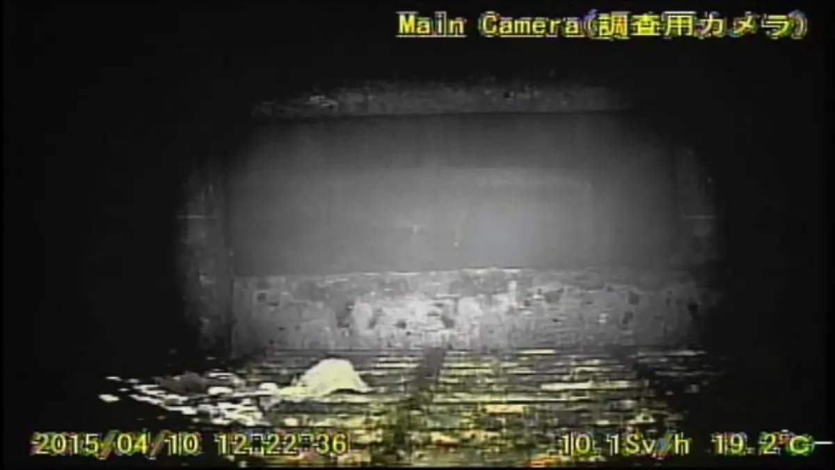 3out4647-jpg6446279474268186384