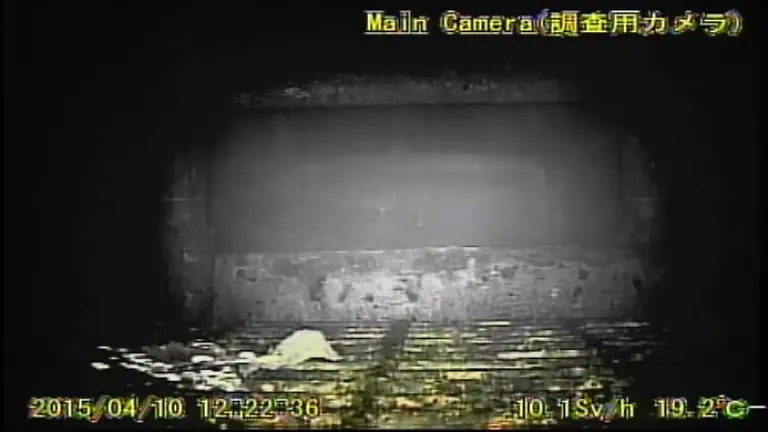 3out4647-jpg6446279474268186384