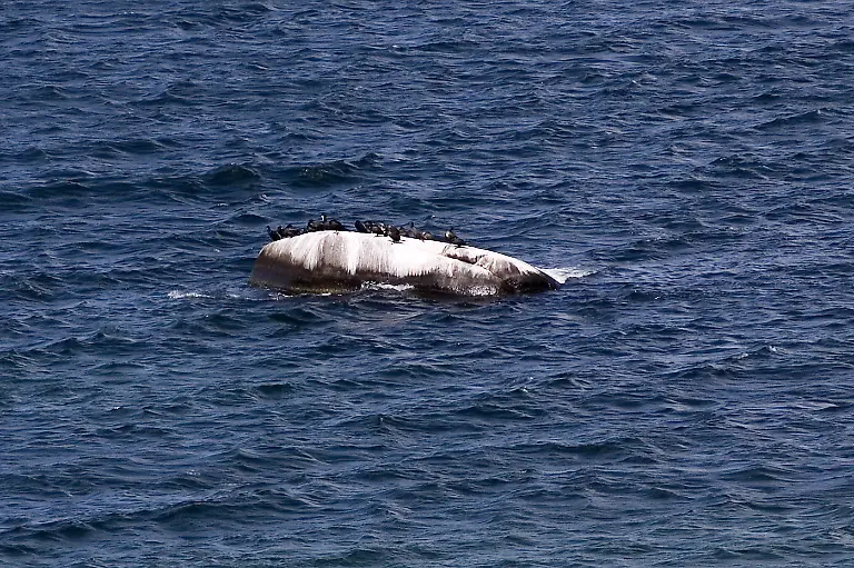 Buskam2009-unokorno-3-0