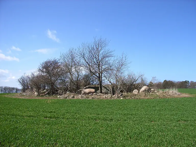 Findling-Nardevitz-2