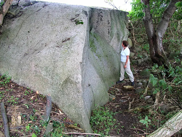 Findling-Nardevitz-Ruegen-Lapplaender-2-0