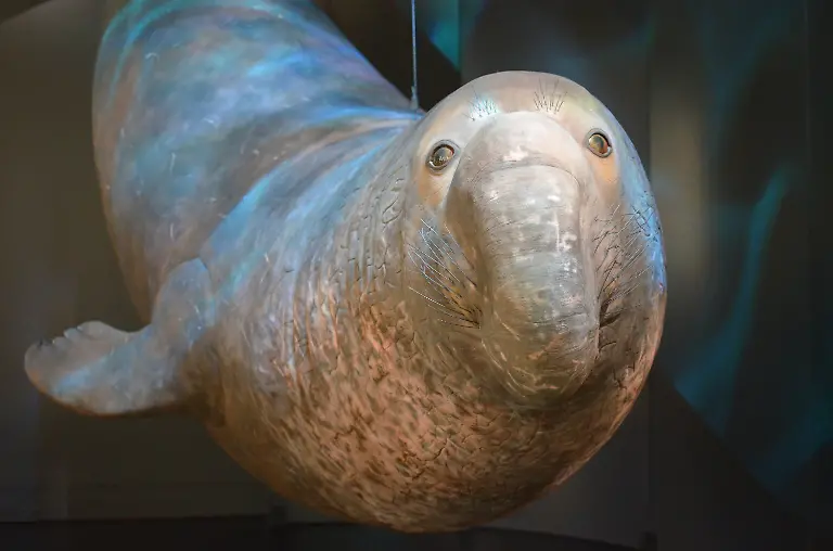 3ong3048-jpg3886099387080450242