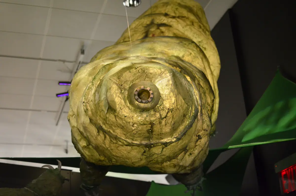 3ong3100-jpg1920400056413660644