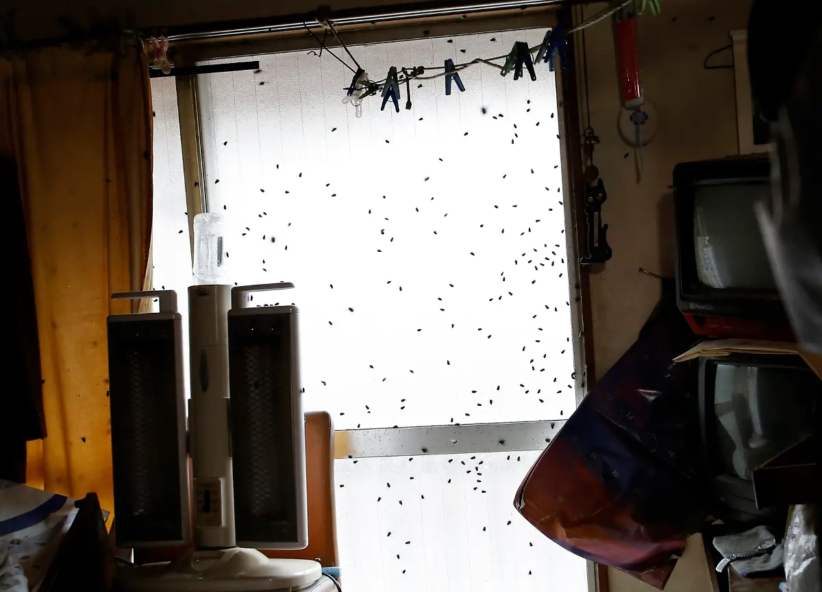 2015-04-01T065147Z-1602039514-LM2EB3V0RJB01-RTRMADP-3-JAPAN-LONELYDEATHS-WIDERIMAGE-JPG4068621169628385816