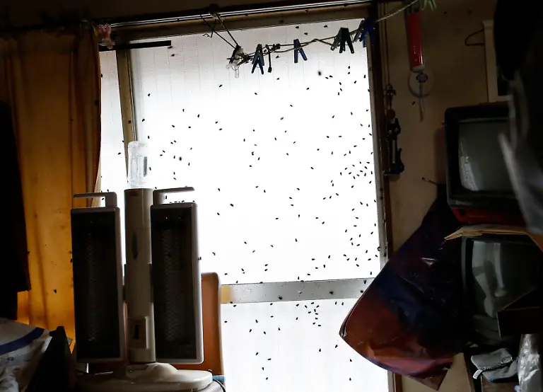 2015-04-01T065147Z-1602039514-LM2EB3V0RJB01-RTRMADP-3-JAPAN-LONELYDEATHS-WIDERIMAGE-JPG4068621169628385816