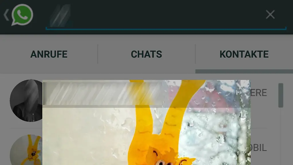 Whatsapp-Anrufe