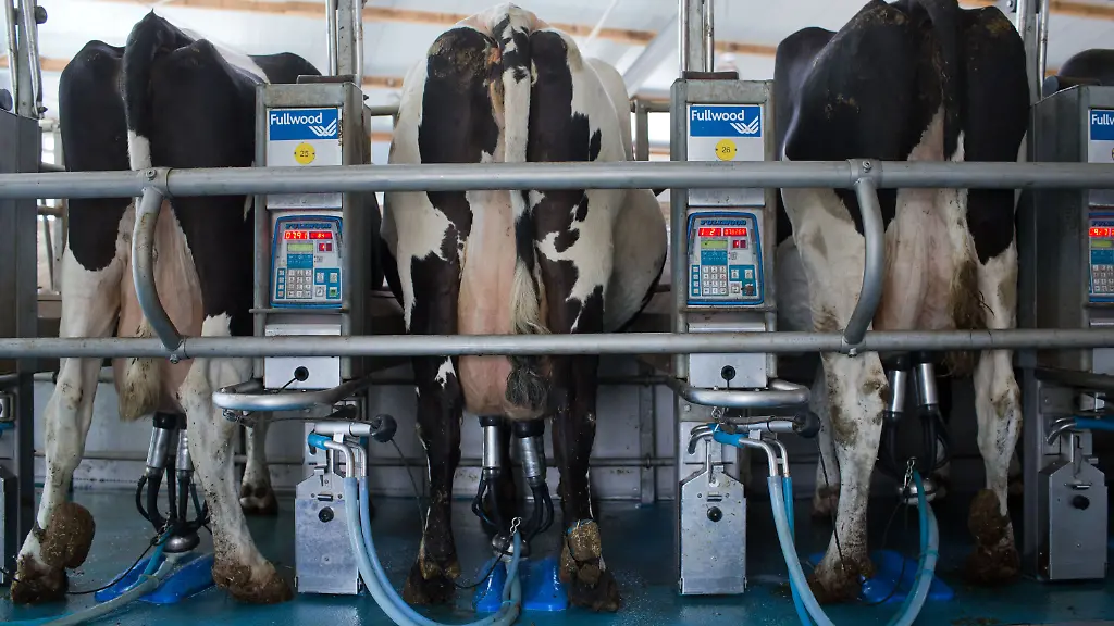 3og50647-jpg6966759447361417819