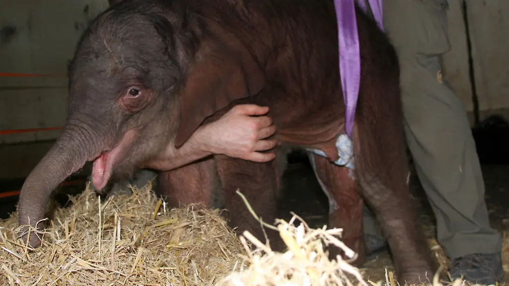 3ojm0959-jpg6328890764224259906