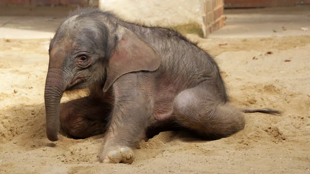 3ohr5334-jpg4524212817830700307