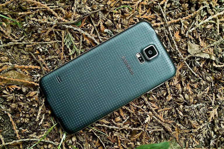 S5-Hinten