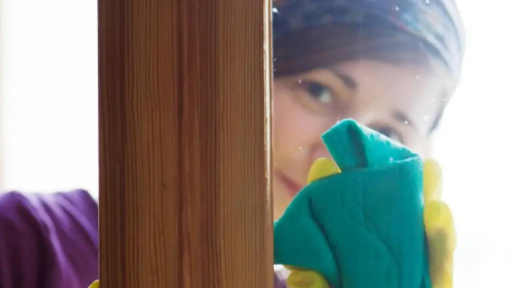 Putzhilfen-bekommen-auch-in-Privathaushalten-den-Mindestlohn-Allerdings-entfaellt-fuer-Privathaushalte-die-Aufzeichnungspflicht-fuer-die-Arbeitszeit