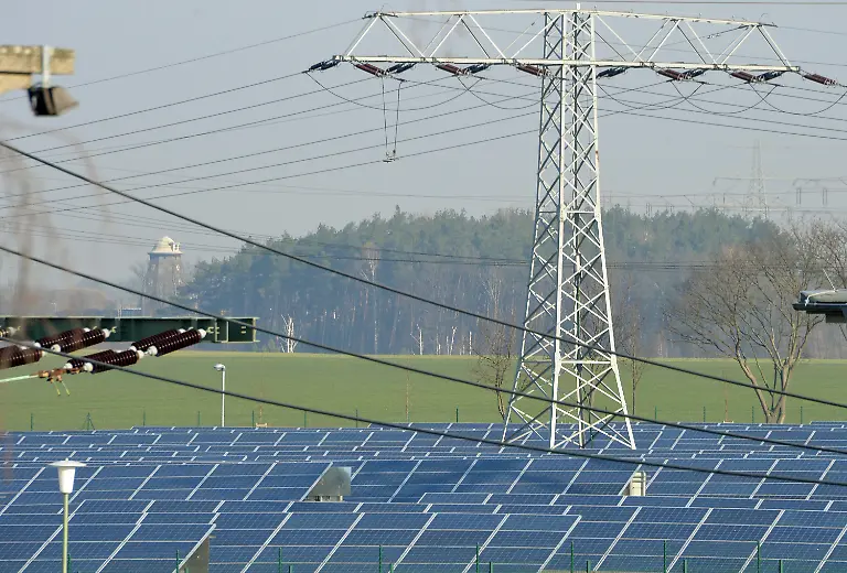 3oe95950-jpg9054129076572158021