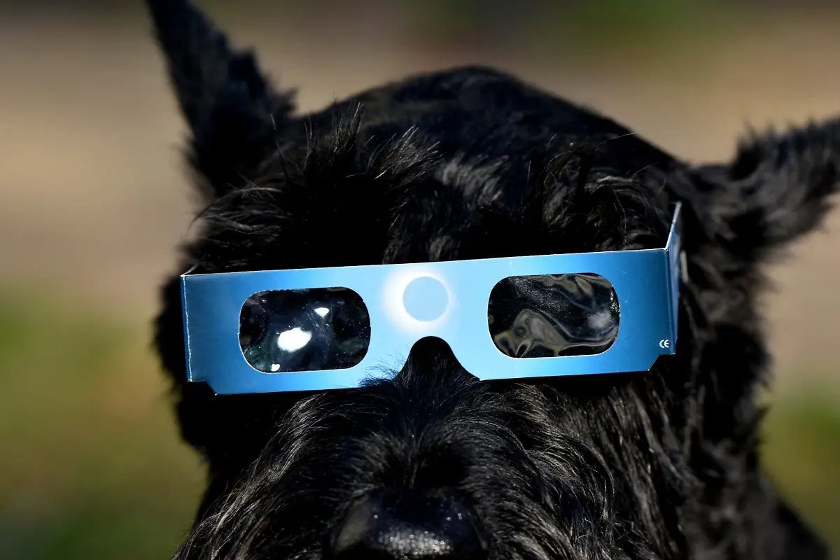 3oea1440-jpg731991168944826385