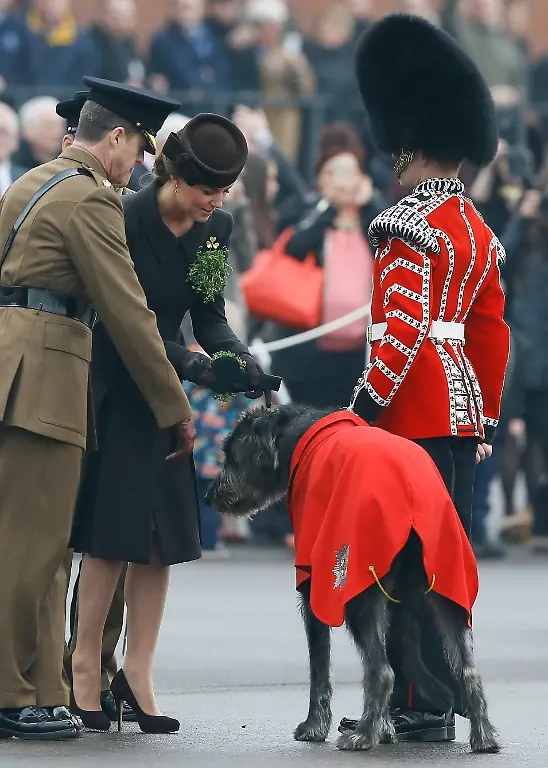 328CE2000E2AA574-jpg7319665509610342415