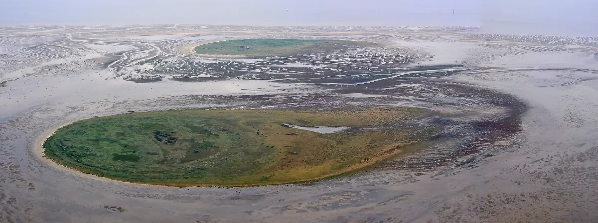 Niegehoern-Ralf-Roletschek-3-0