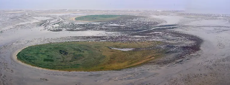 Niegehoern-Ralf-Roletschek-3-0