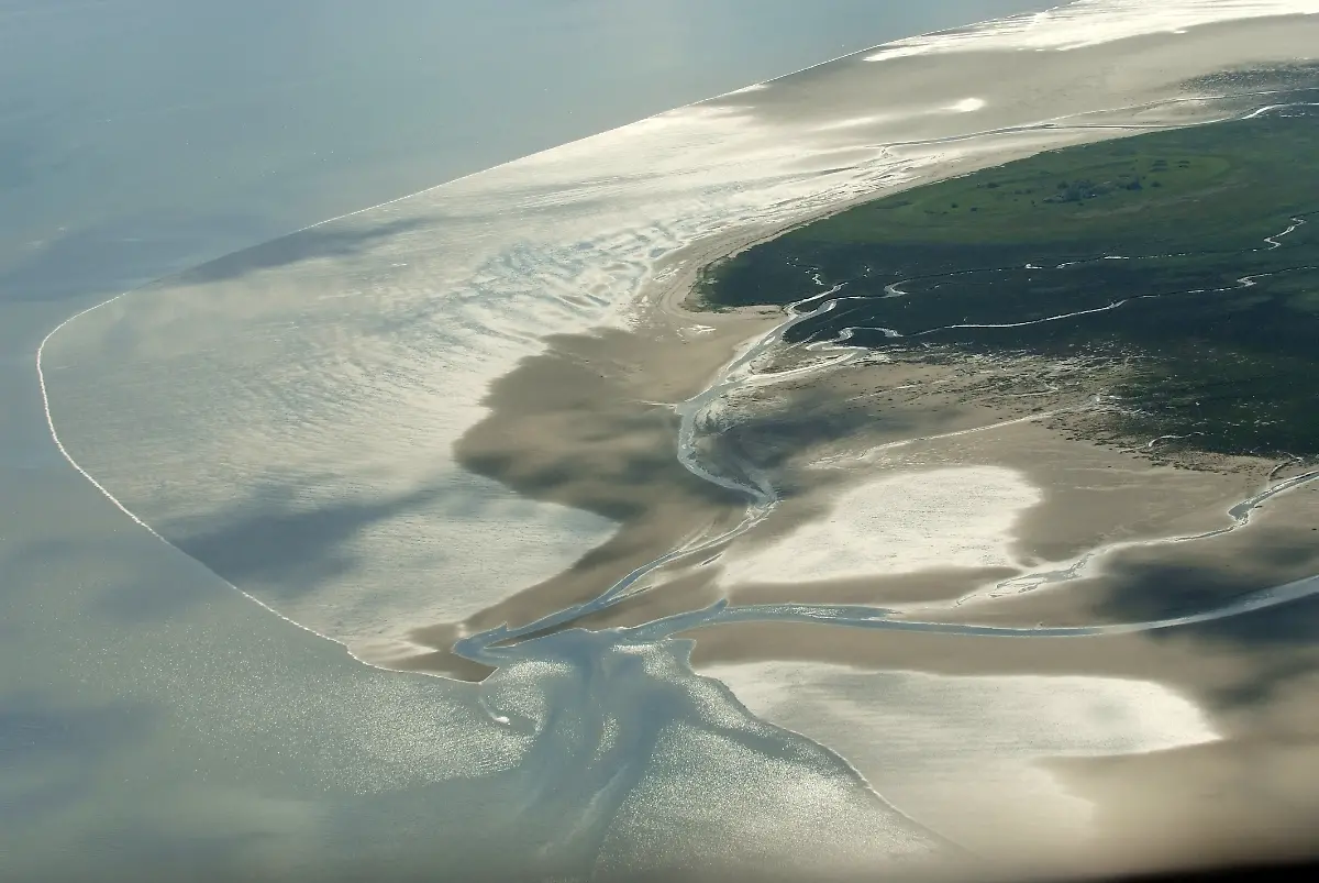 Mellum-Martina-Nolte-3-0