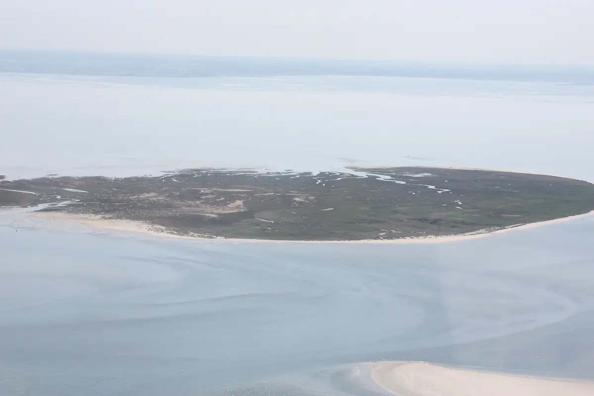 memmert-Bin-im-Garten-CC-BY-SA-3-0