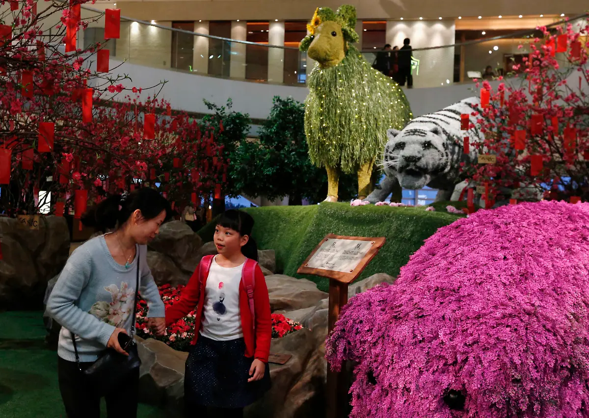 2015-02-09T130940Z-898660363-GM1EB291LU001-RTRMADP-3-HONGKONG-DAILYLIFE-JPG4607159878552998053