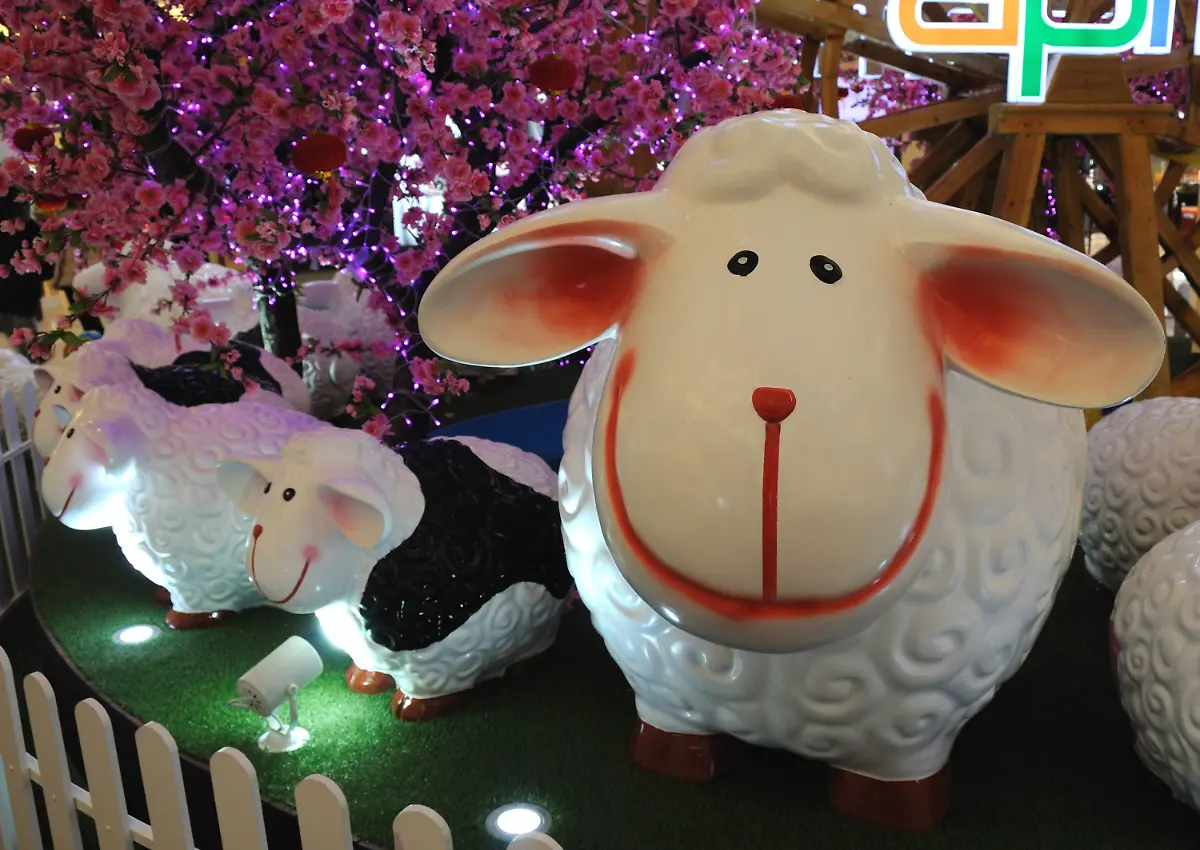 imago-st-0206-07190002-63661714-jpg6203604341987129720