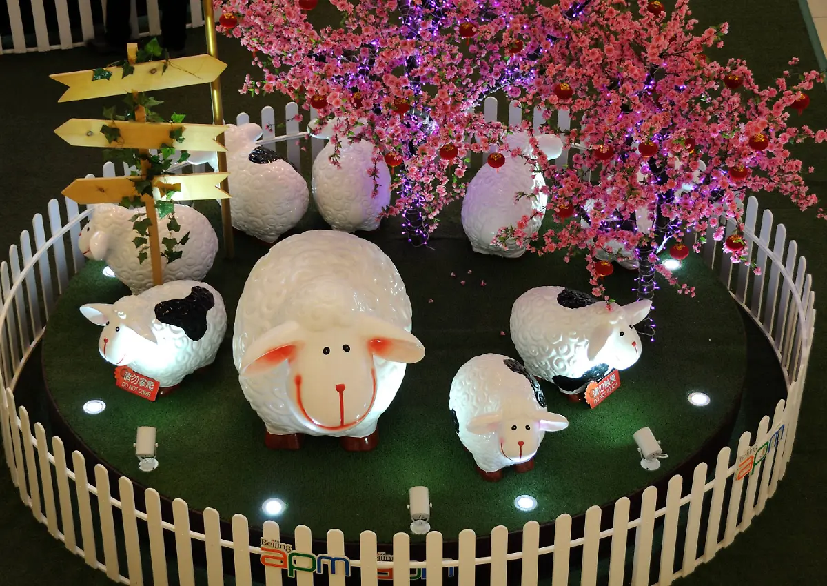 imago-st-0206-07190005-63661708-jpg3925738909614543043