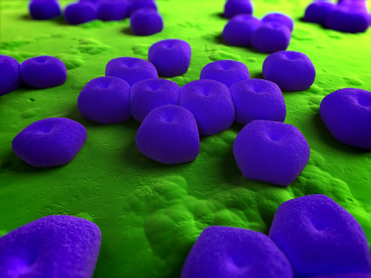 Acinetobacter-baumannii2