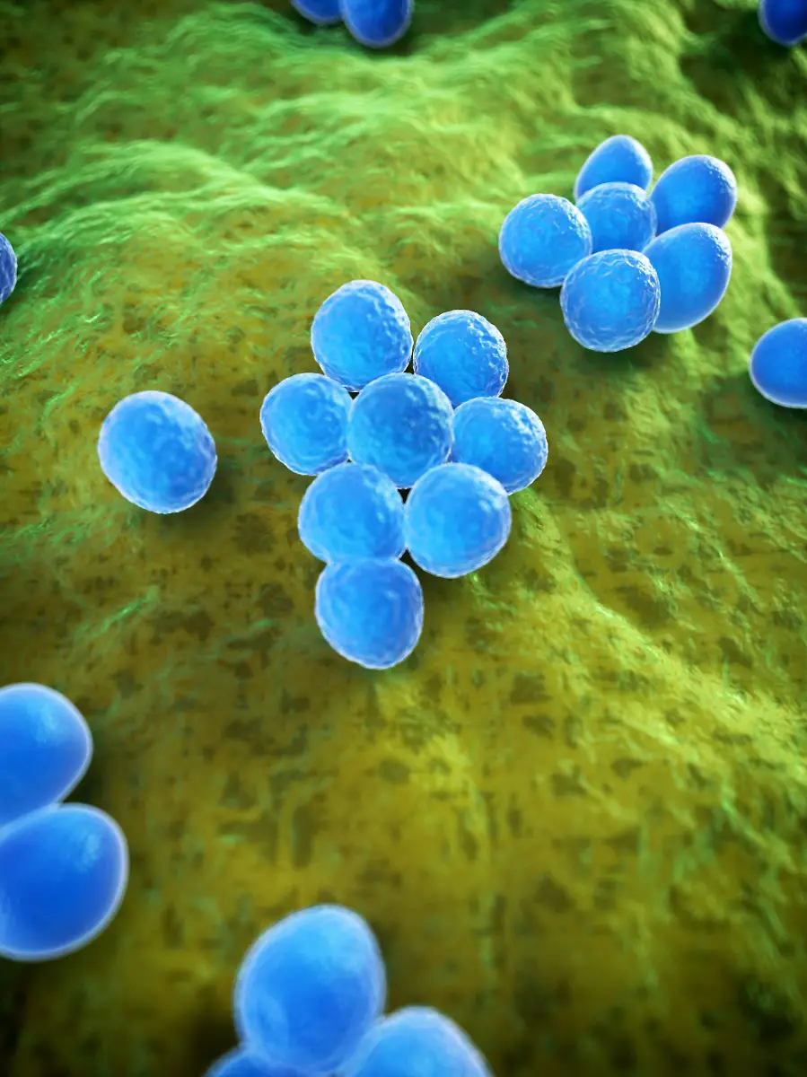 MRSA4