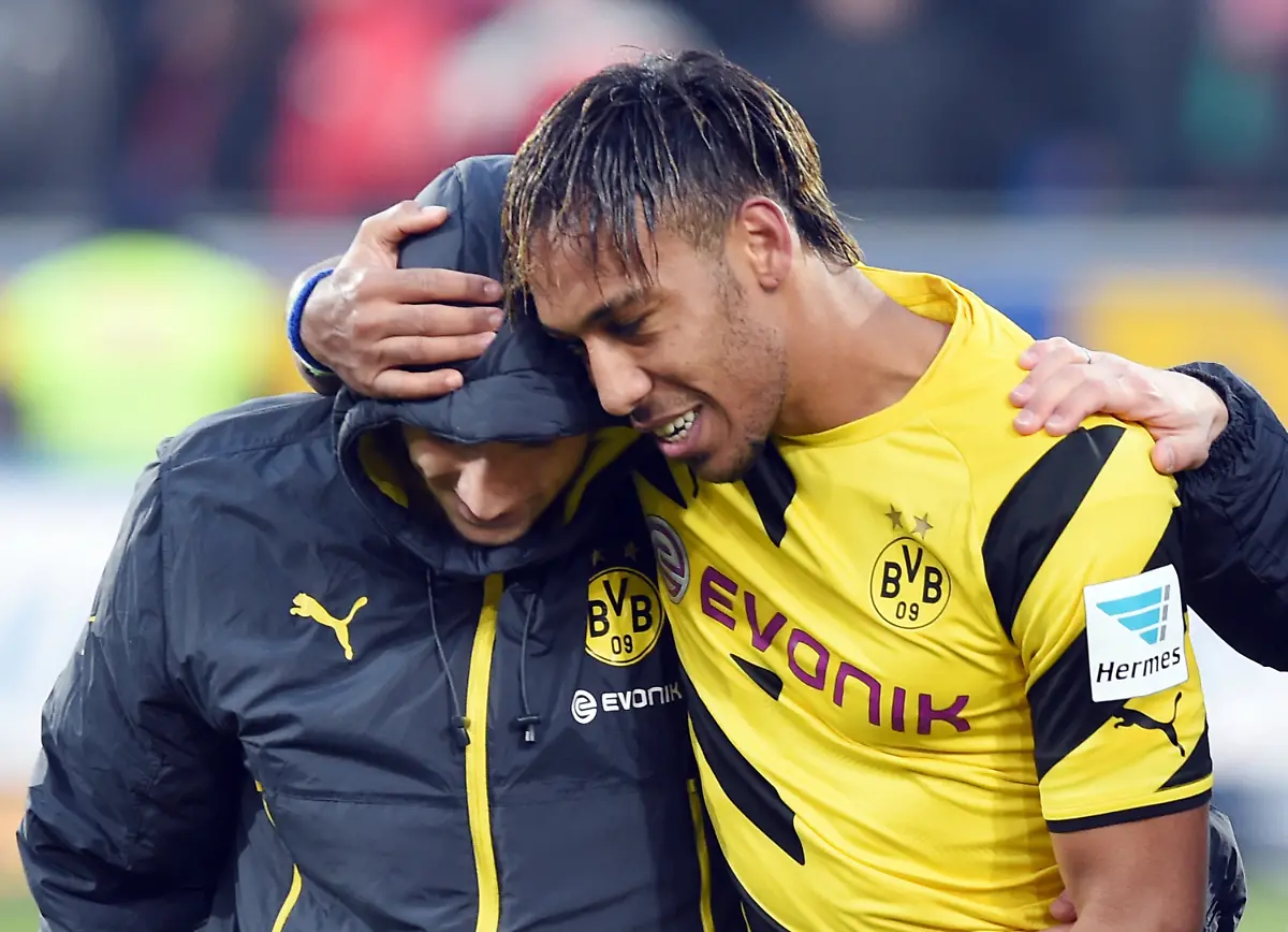 3nl55157-jpg5860417324184413589