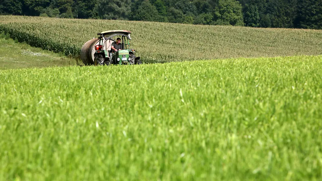 3nkt0320-jpg2596783754614374724