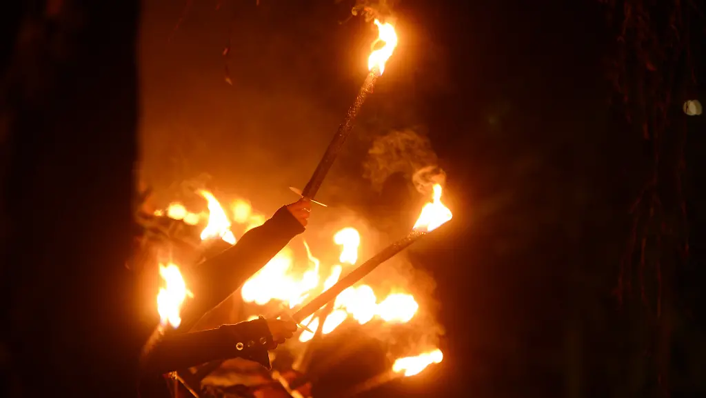 nazis-fackeln-neinazis