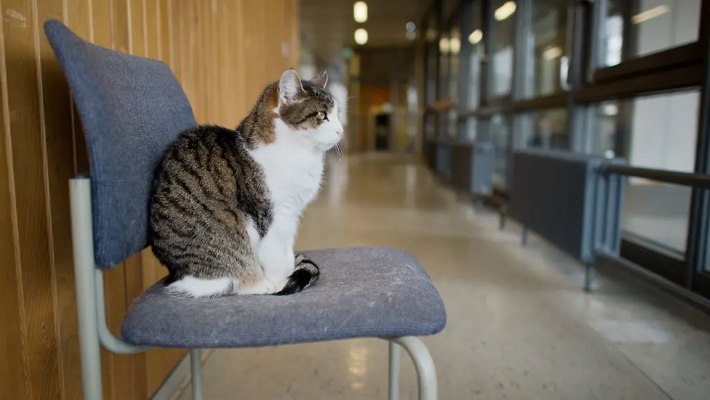 3nho4626-jpg7633015639978934474