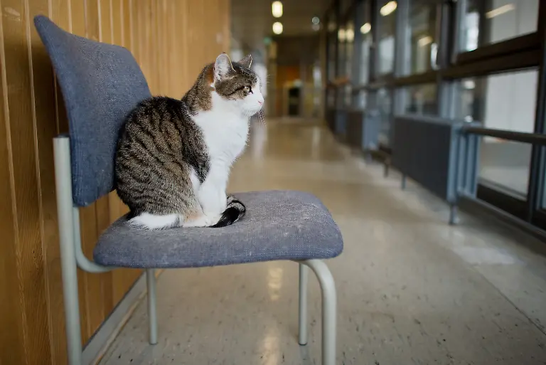 3nho4626-jpg7633015639978934474