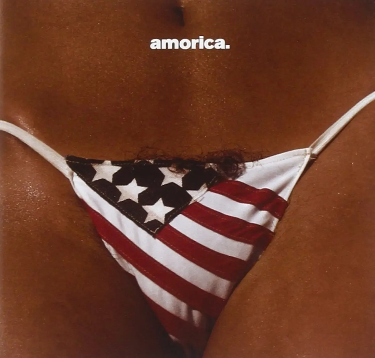 The-Black-Crowes-Amorica