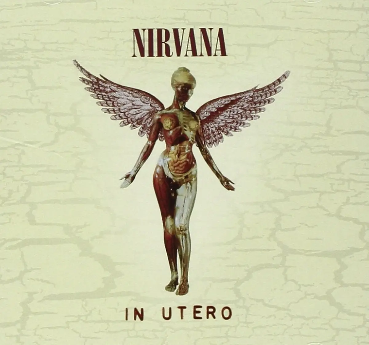 Nirvana-In-Utero