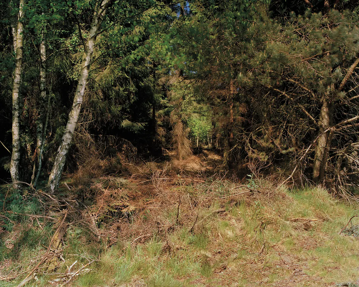 SimonMennerCamouflage07