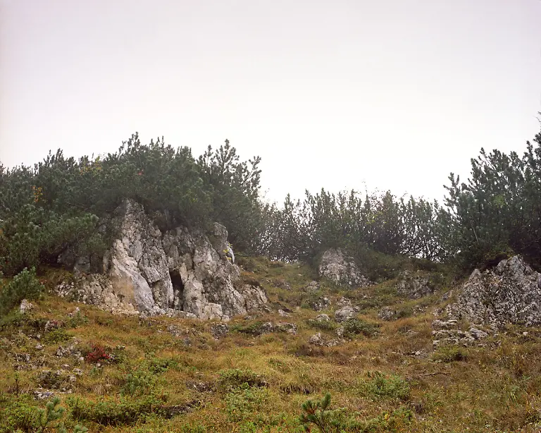 SimonMennerCamouflage06