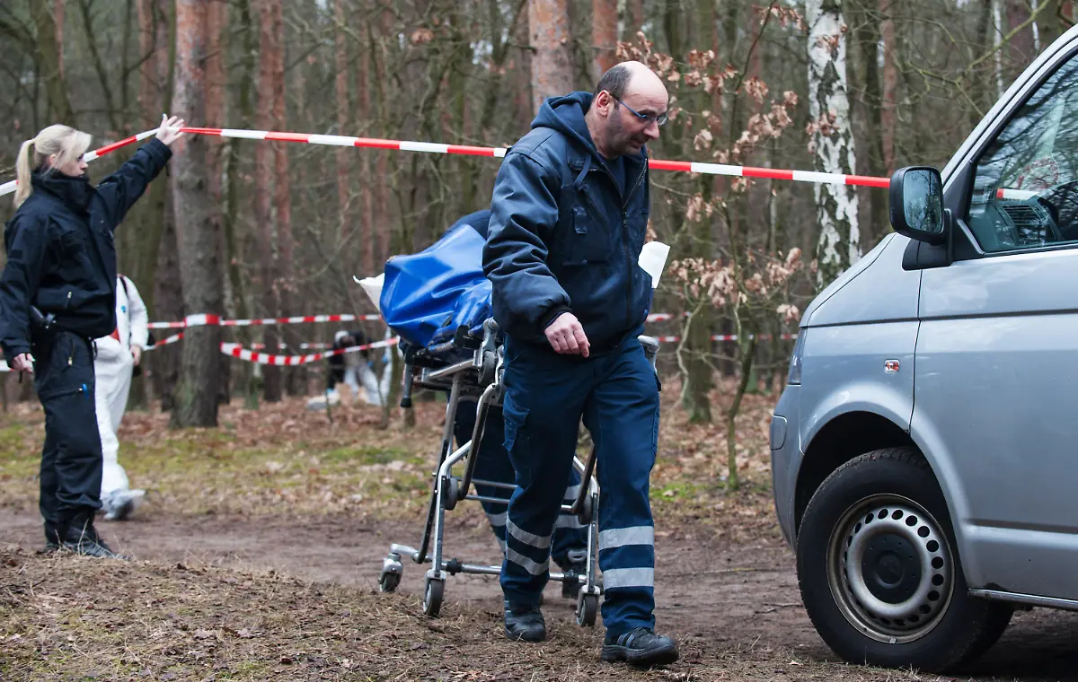 3nb82212-jpg8584963227425860535