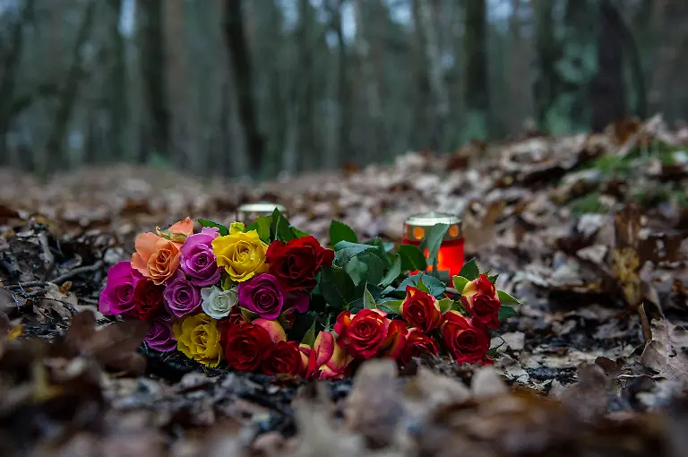 3nbt3507-jpg6961749390195923407