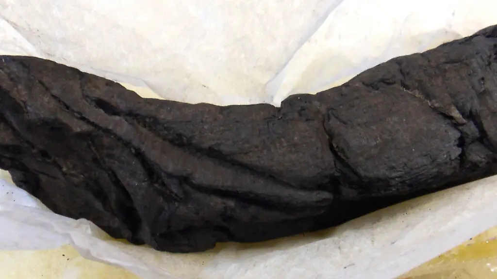 3n8t0015-jpg7851078763662190460