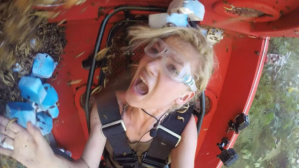 dschungel-lfckvaemxcv