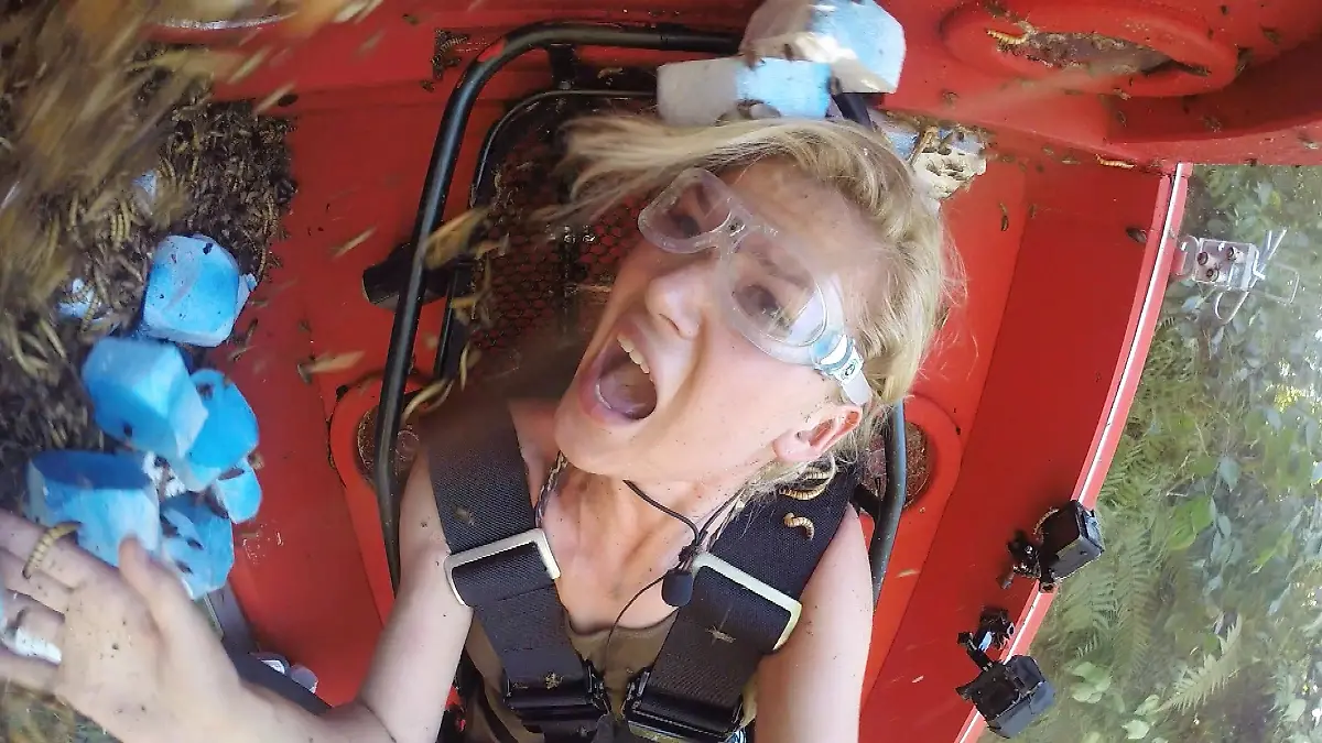 dschungel-lfckvaemxcv