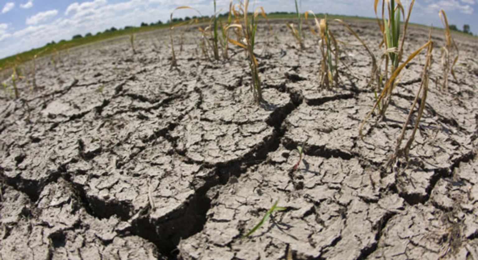 Es ist eine weltweite Katastrophe: Pflanzen und Wasser verschwinden, die Böden werden fortgespült oder fortgeweht, versalzen oder versanden. Das Land wird unfruchtbar.