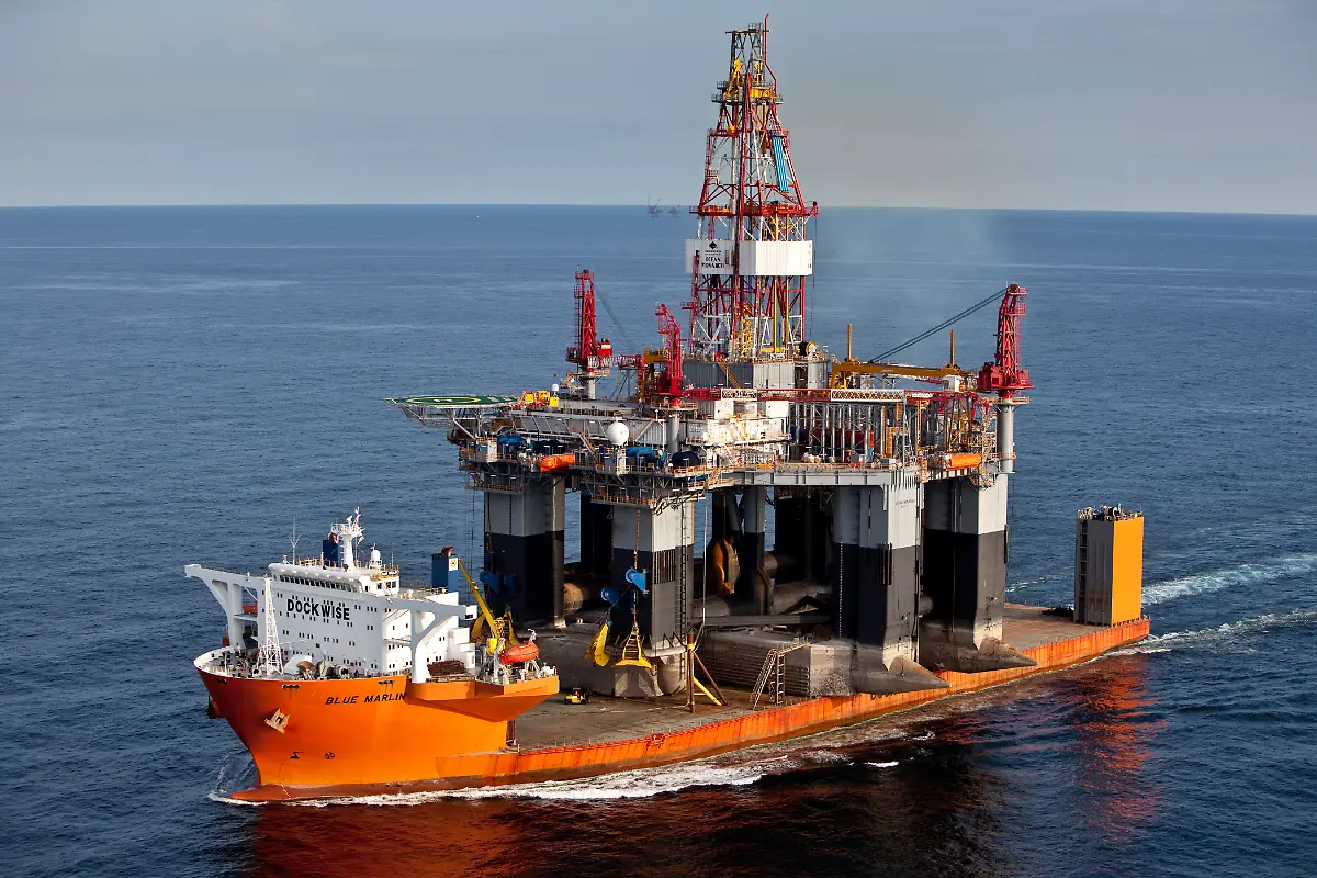 MC-Ocean-Monarch-Ocean-Monarch-on-BLUE-MARLIN