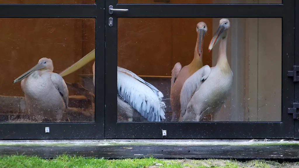 3n113951-jpg3340397071158712465