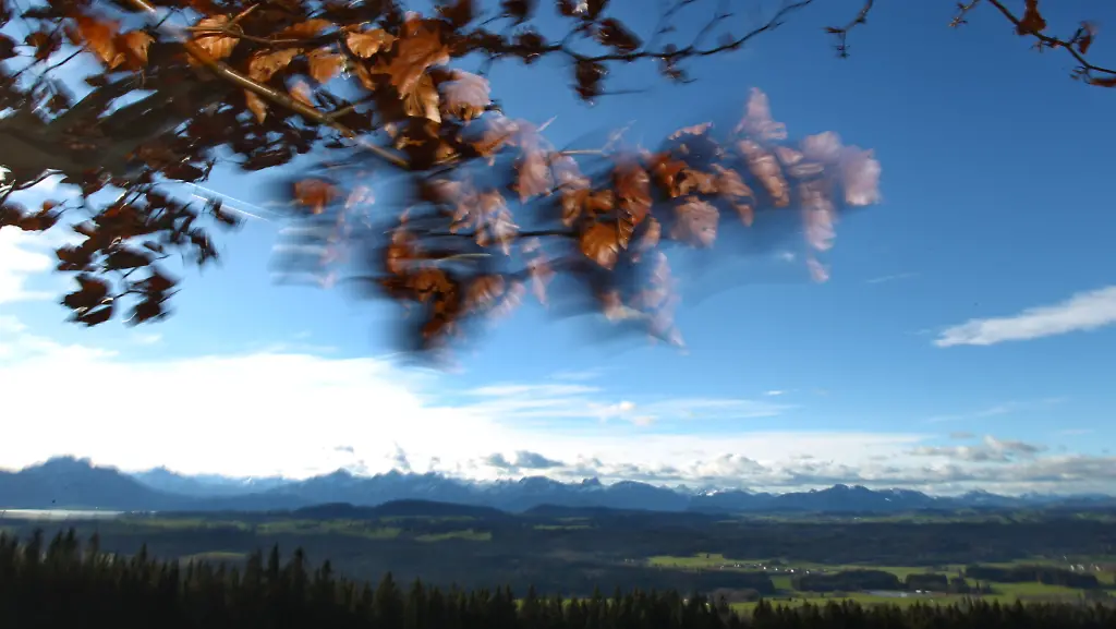 3n2c2128-jpg9092949944979965692