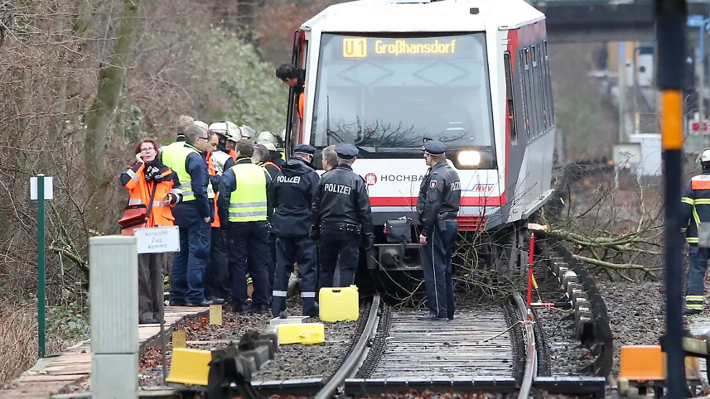 3n2g3656-jpg2758788056225888354