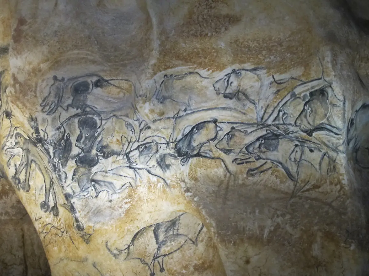 3n013036-jpg4176104974605800428